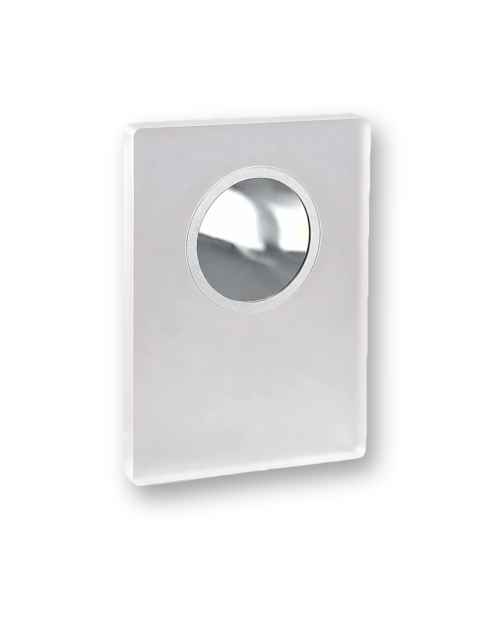 Frosty award, Silver medallion